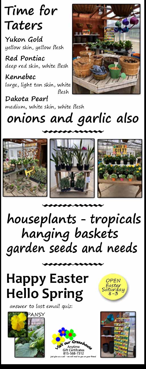 Home Hubbs Greenhouse