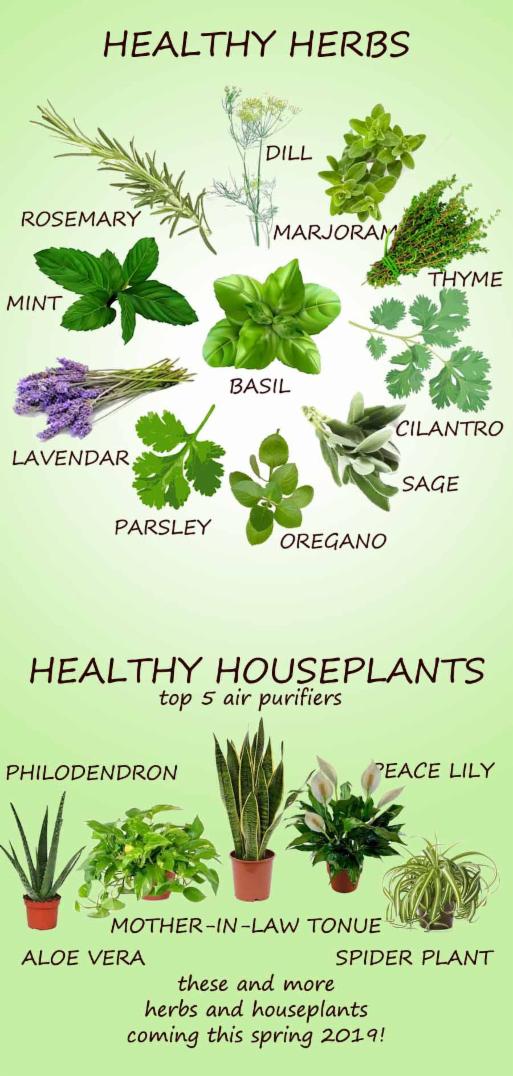 Home Hubbs Greenhouse