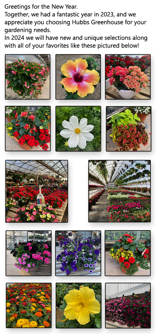 Home Hubbs Greenhouse